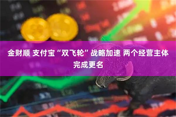 金财顺 支付宝“双飞轮”战略加速 两个经营主体完成更名