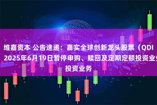 维嘉资本 公告速递：嘉实全球创新龙头股票（QDII）2025年6月19日暂停申购、赎回及定期定额投资业务
