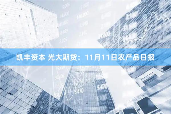 凯丰资本 光大期货：11月11日农产品日报